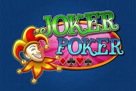 winbet999